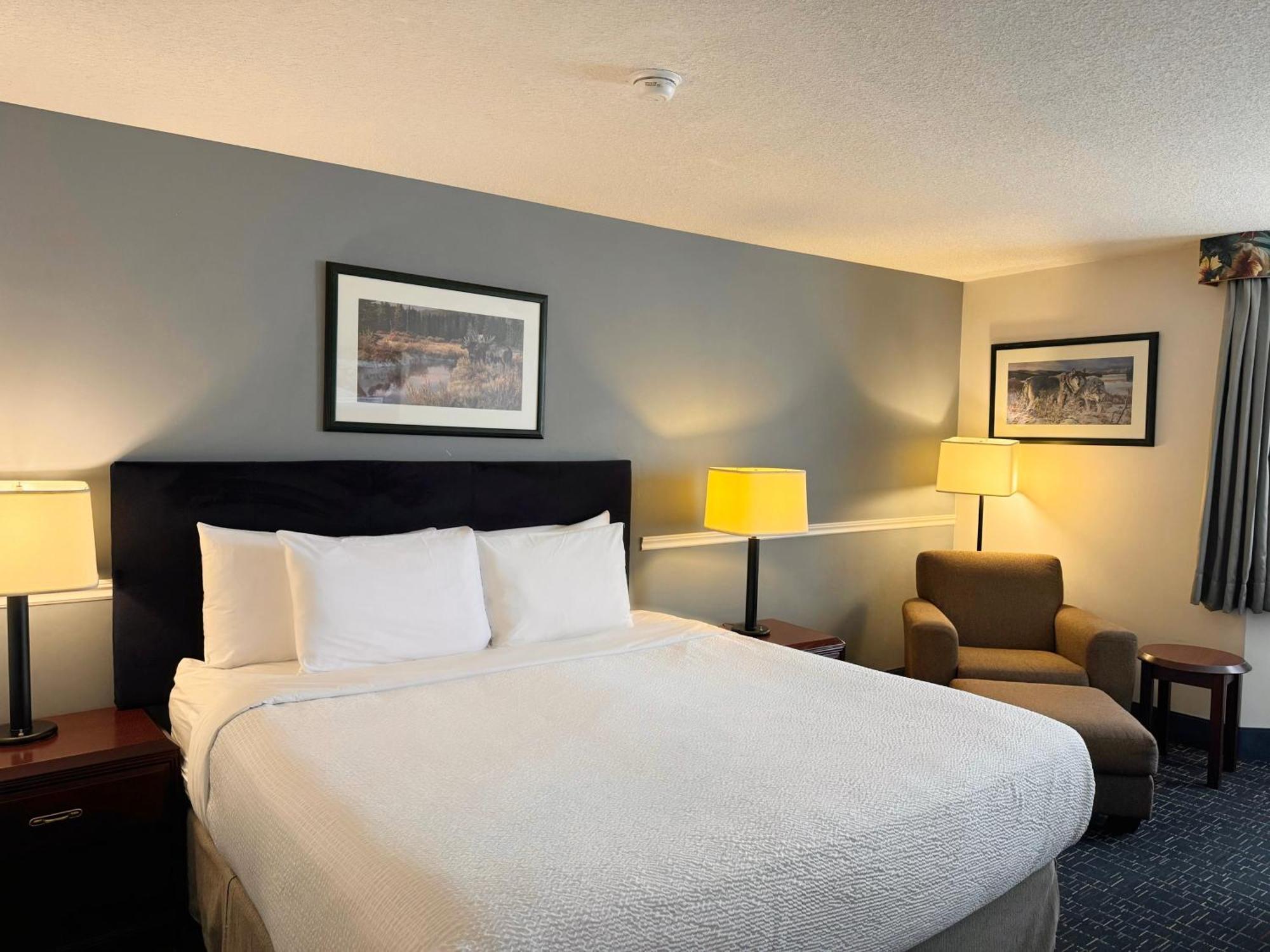 Divya Sutra Plaza And Conference Centre Calgary Airport Hotel Bagian luar foto